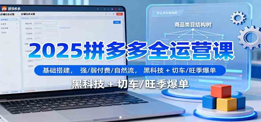 2025拼多多全运营课：基础搭建，强/弱付费/自然流，黑科技 + 切车/旺季爆单_就是爱分享