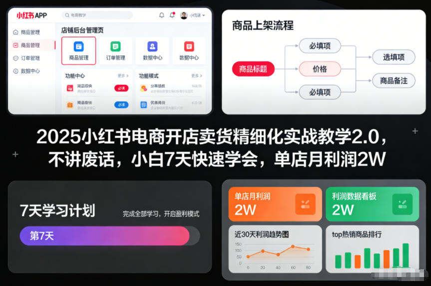 2025小红书电商开店卖货精细化实战教学2.0，不讲废话，小白7天快速学会，单店月利润2W_就是爱分享