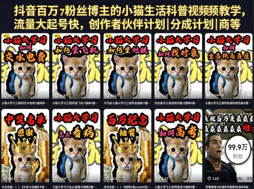 抖音百万粉丝博主的小猫生活科普视频教学，流量大起号快，创作者伙伴计划|分成计划|商单|收徒等_一起云网创