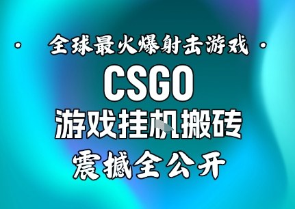 【年底大揭秘】基于全球最火爆的射击CSGO游戏挂G搬砖，日入5张+，震撼公开_就是爱分享