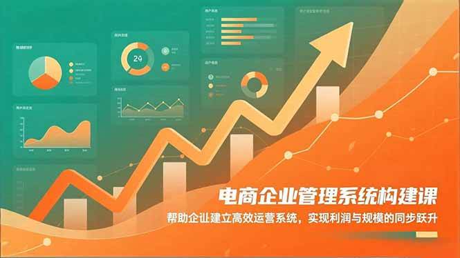 （16643期）电商企业管理系统构建课：帮助企业建立高效运营系统，实现利润与规模的同步跃升_就是爱分享