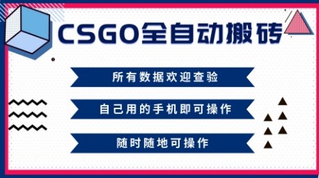 CSGO全自动搬砖，年底钱回家好项目，当天可拿到结果，新手小白轻松月入1W+【揭秘】_就是爱分享