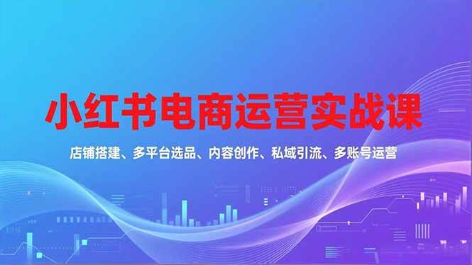 （16695期）小红书电商运营实战课，店铺搭建、多平台选品、内容创作、私域引流、多账号运营等玩法_就是爱分享