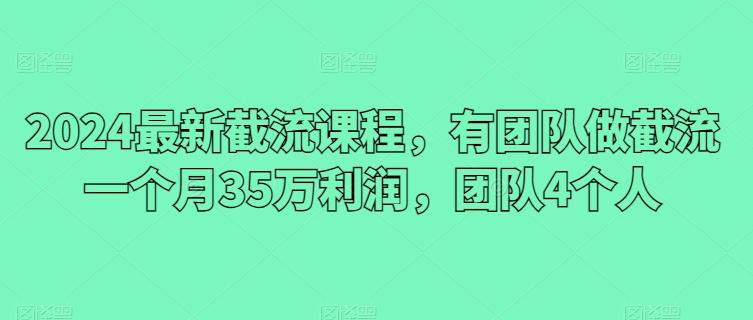2024最新截流课程，有团队做截流一个月35万利润，团队4个人_就是爱分享