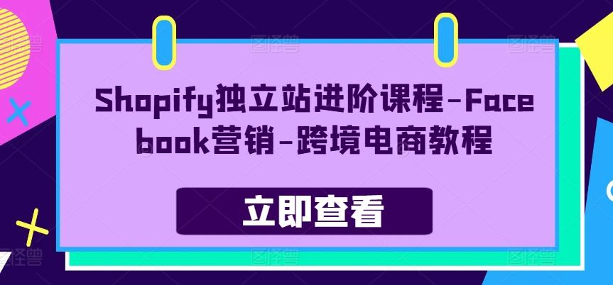 Shopify独立站进阶课程-Facebook营销-跨境电商教程_就是爱分享