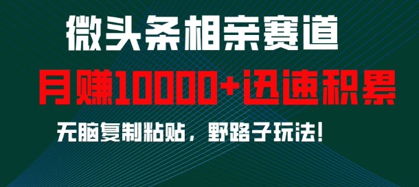 微头条相亲赛道，迅速积累，无脑复制粘贴，野路子玩法，月入1w_就是爱分享