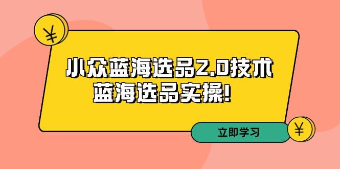 拼多多培训第33期：小众蓝海选品2.0技术-蓝海选品实操！_就是爱分享