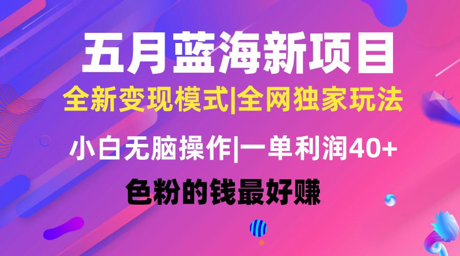 五月蓝海项目全新玩法，小白无脑操作，一天几分钟，矩阵操作，月入4万+_就是爱分享