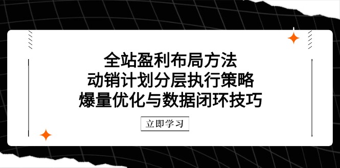 全站盈利布局方法：动销计划分层执行策略，爆量优化与数据闭环技巧_就是爱分享