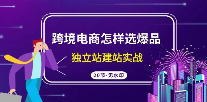 (9369期)跨境电商怎样选爆品，独立站建站实战(20节高清无水印课)_就是爱分享