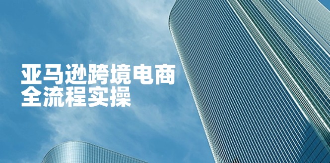 亚马逊跨境电商全流程实操，教你从零开始，掌握店铺运营与广告技巧_就是爱分享