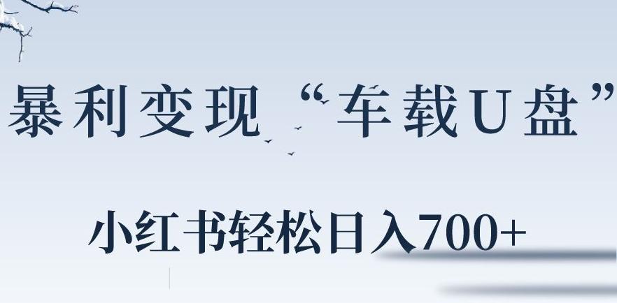 小红书“车载U盘”暴利引流，日入700+_就是爱分享