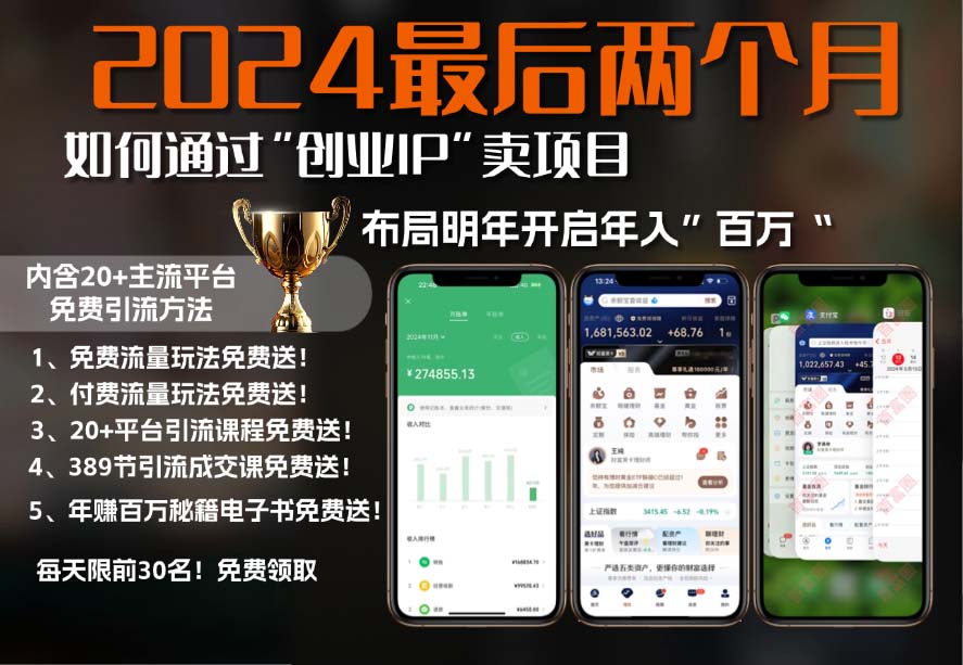 2024最后两个月如何通过”创业IP“卖项目年入”百万“,创业IP+最强引流…_就是爱分享