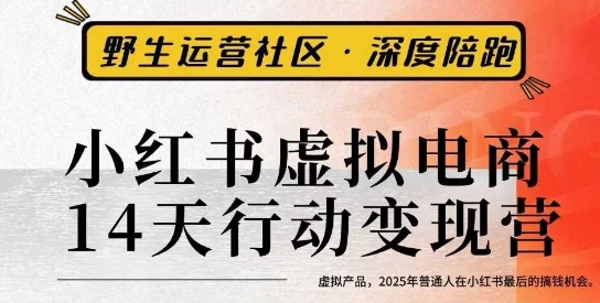 小红书虚拟电商14天变现训练营3.0，虚拟产品，2025年普通人在小红书最后的搞钱机会_就是爱分享