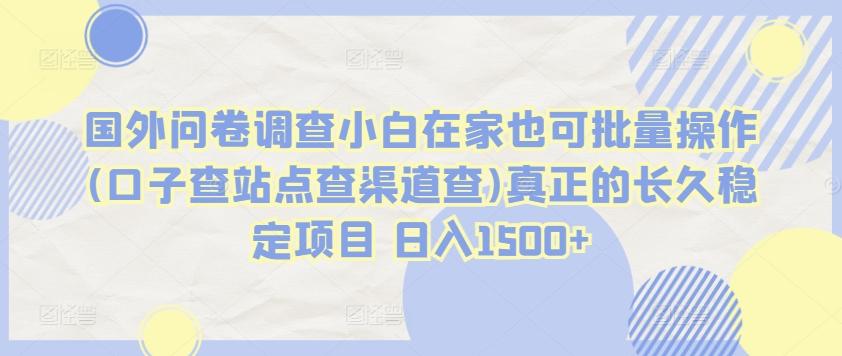 国外问卷调查小白在家也可批量操作(口子查站点查渠道查)真正的长久稳定项目 日入1500+【揭秘】_就是爱分享