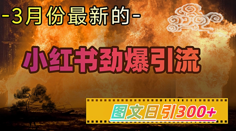 小红书超劲爆引流手段，图文日引300+轻松变现1W_就是爱分享