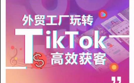 外贸工厂玩转TikTok高效获客，多种引流方式与账号定位技巧，拆解爆款短视频打造成功案例_就是爱分享