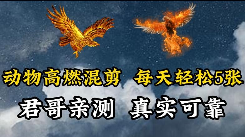 动物超燃混剪，每天轻松5张，剪辑简单大家爱看【揭秘】_就是爱分享