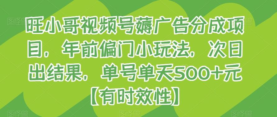旺小哥视频号薅广告分成项目，年前偏门小玩法，次日出结果，单号单天500+元【有时效性】_就是爱分享
