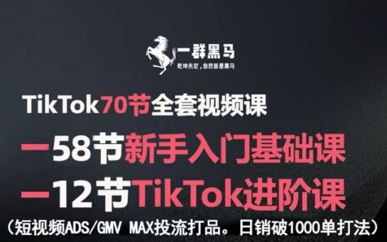 TikTok全套视频课，新手入门+进阶课，短视频ADS-GMV MAX投流打品，日销破1000单打法_就是爱分享