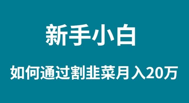 (9308期)新手小白如何通过割韭菜月入 20W_就是爱分享