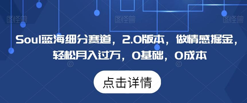 Soul蓝海细分赛道，2.0版本，做情感掘金，轻松月入过万，0基础，0成本_就是爱分享