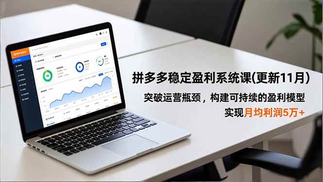 （16641期）拼多多稳定盈利系统课(更新11月)，突破运营瓶颈，构建可持续的盈利模型，实现月均利润5万+_就是爱分享