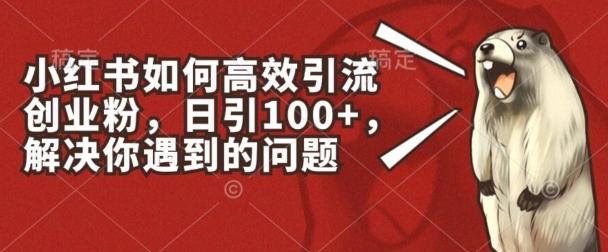小红书如何高效引流创业粉，日引100+，解决你遇到的问题【揭秘】_就是爱分享