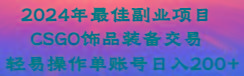 2024年最佳副业项目 CSGO饰品装备交易 轻易操作单账号日入200+_就是爱分享