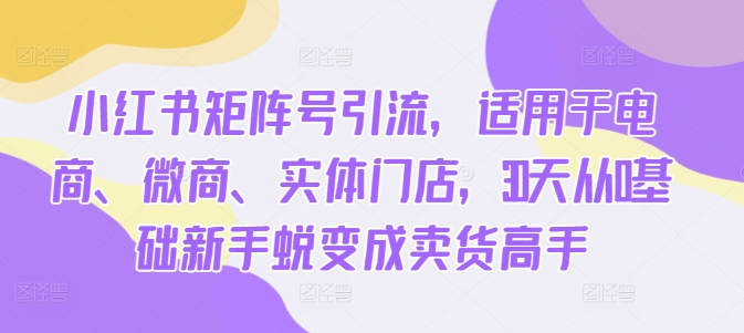 小红书矩阵号引流，适用于电商、微商、实体门店，30天从0基础新手蜕变成卖货高手_就是爱分享