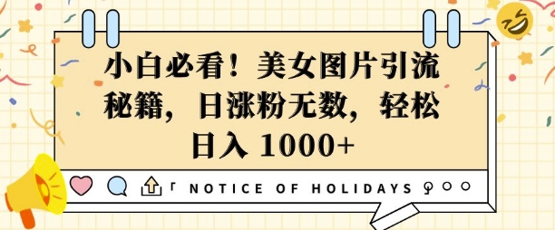小白必看，美女图片引流秘籍，日涨粉无数，轻松日入几张【揭秘】_就是爱分享