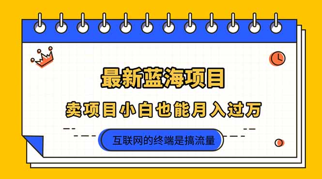 2025年最新蓝海项目，卖项目小白也能月入过万_就是爱分享