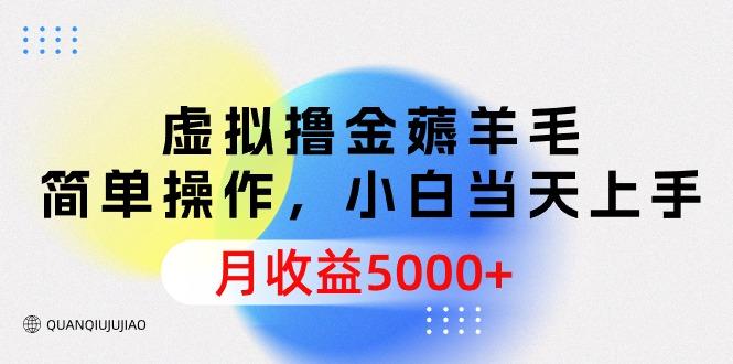 (9864期)虚拟撸金薅羊毛，简单操作，小白当天上手，月收益5000+_就是爱分享