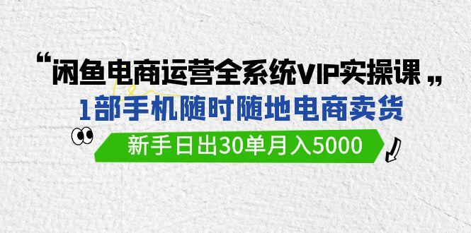 (9547期)闲鱼电商运营全系统VIP实战课，1部手机随时随地卖货，新手日出30单月入5000_就是爱分享