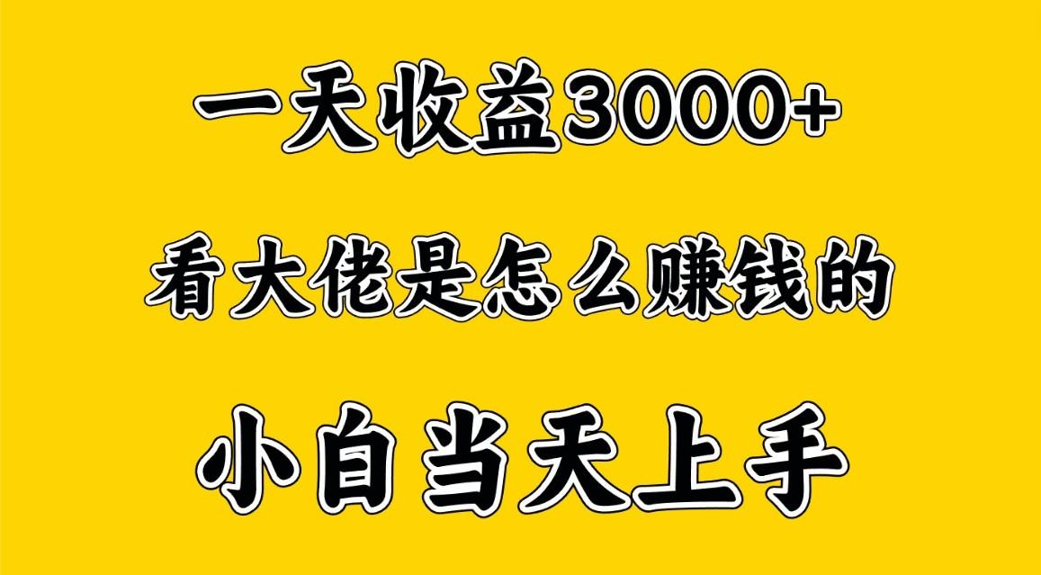 一天赚3000多，大佬是这样赚到钱的，小白当天上手，穷人翻身项目_就是爱分享