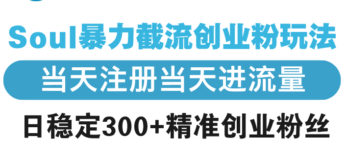 Soul暴力截流创业粉玩法，当天注册当天进流量，日稳定300+精准创业粉丝_就是爱分享