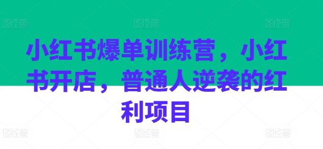 小红书爆单训练营，小红书开店，普通人逆袭的红利项目_就是爱分享
