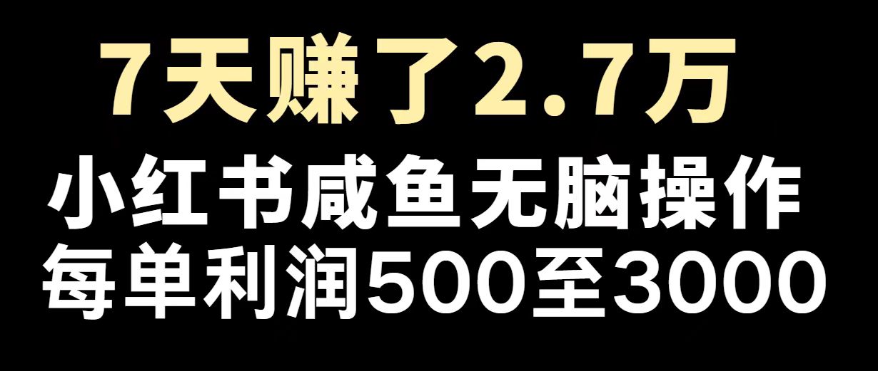 最赚钱项目之一，2025爆火，逆风翻盘！_就是爱分享