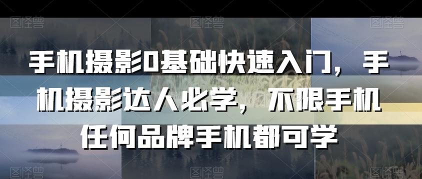手机摄影0基础快速入门，手机摄影达人必学，不限手机任何品牌手机都可学_就是爱分享