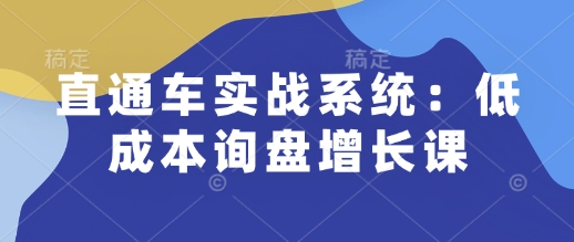 直通车实战系统：低成本询盘增长课，让个人通过技能实现升职加薪，让企业低成本获客，订单源源不断_就是爱分享
