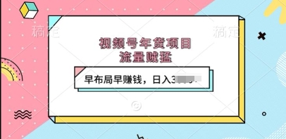 视频号年货项目，流量贼猛，早布局早挣钱，日入上k【揭秘】_就是爱分享