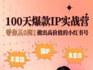 小红书100天爆款IP实战营，带你从0到1做出高价值的小红书号_就是爱分享