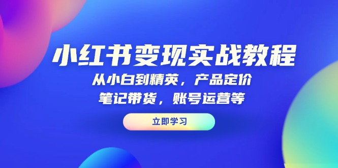 小红书变现实战教程：从小白到精英，产品定价，笔记带货，账号运营等_就是爱分享