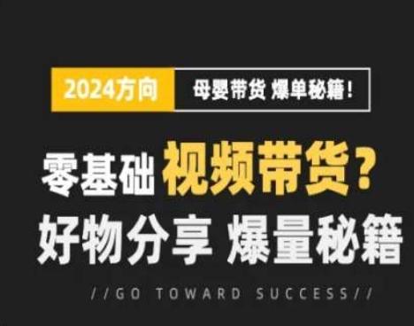 短视频母婴赛道实操流量训练营，零基础视频带货，好物分享，爆量秘籍_就是爱分享