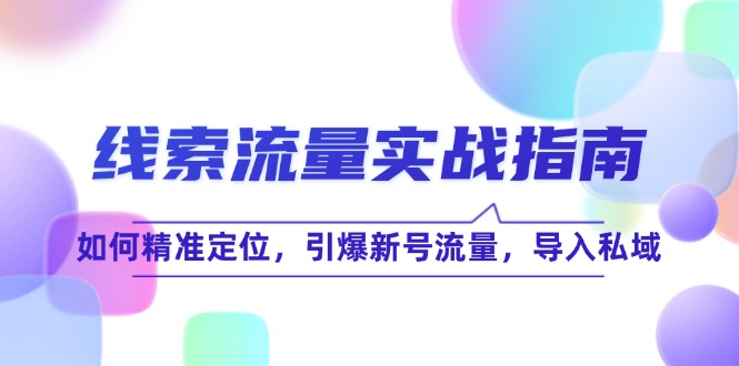 线 索 流 量-实战指南：如何精准定位，引爆新号流量，导入私域_就是爱分享