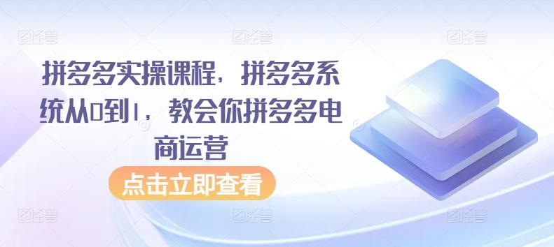 拼多多实操课程，拼多多系统从0到1，教会你拼多多电商运营_就是爱分享