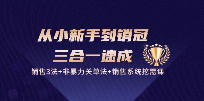从小新手到销冠 三合一速成：销售3法+非暴力关单法+销售系统挖需课 (27节_就是爱分享