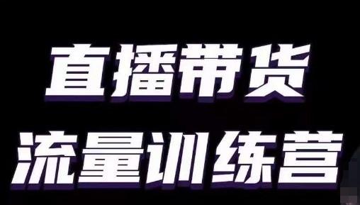 直播带货流量训练营，小白主播必学直播课_就是爱分享