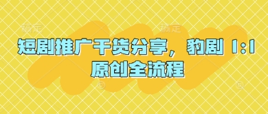 短剧推广干货分享，豹剧 1:1原创全流程_就是爱分享