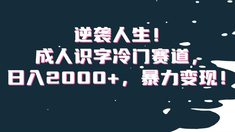 逆袭人生！成人识字冷门赛道，日入2000+，暴力变现！【揭秘】_就是爱分享